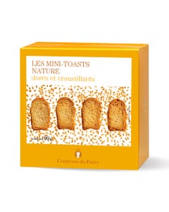 Mini Toasts nature
